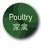 Poultry 家禽